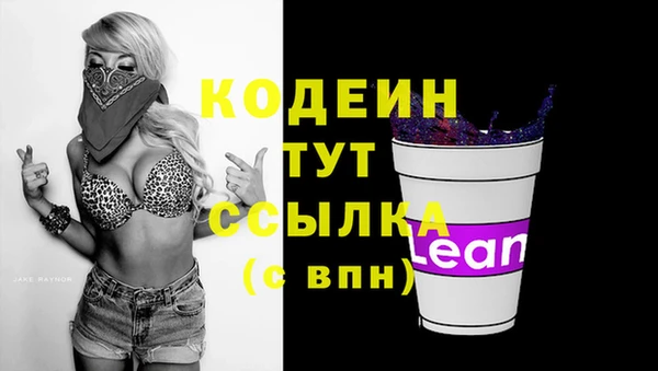 СК Алагир