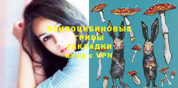 герыч Мегион