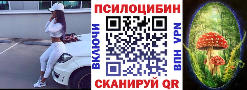 продажа наркотиков  Чёрмоз  Псилоцибиновые грибы GOLDEN TEACHER 